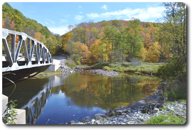 Recycling in Maryland Fall